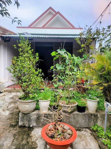 Bán đất 150m2 Nguyễn Đức Cảnh , Quang Hanh, Cẩm Phả siêu hot