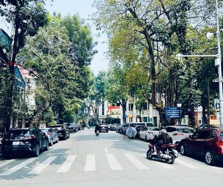 Cực hiếm + vip - Cần bán gấp nhà mặt phố Quang Trung, Hoàn Kiếm - 420m2 x 3T + MT 17m 0974660824
