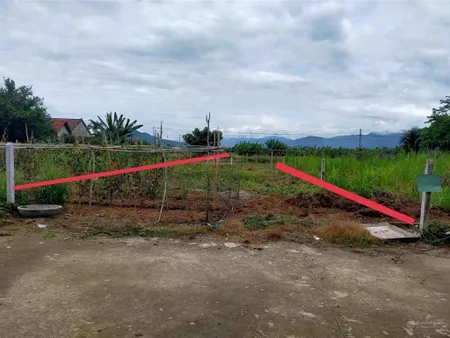 Đất chính chủ cho thuê 200 m2, giá tốt phù hợp trồng rau, làm kho, diên sơn, diên khánh