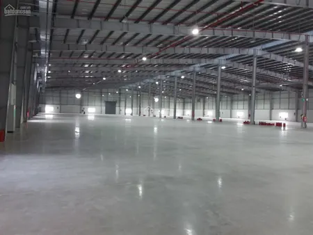 Cho thuê kho, xưởng mới khu cẩm giàng, hải dương dt 2000m2 đến 150.000m2 (chia nhỏ dt) giá tốt