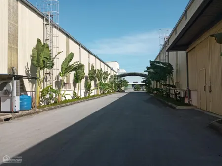 Cho thuê kho, xưởng khu bình giang, hải dương dt 1000m2 đến 150.000m2 khuôn viên riêng biệt.