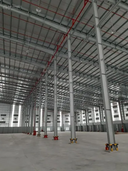 Cho thuê 5000m2, 10000m2 xưởng mới xây dựng tại hải hậu
