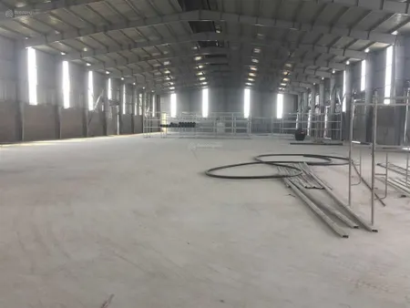 Cho thuê xưởng từ 5000m2, 10000m2, 20000m2 cụm công nghiệp tiên lãng