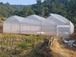 Chính chủ cho thuê đất trồng cây, có đầu tư nhà kính diện tích 11.000m2