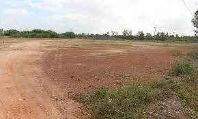 Chính chủ cho thuê đất trống trông cây