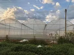 Cho thuê đất trồng cây là hoàn thiện đầu tư nhà kính tại lâm đồng