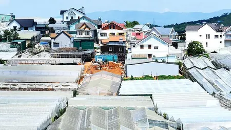 Chính chủ cho thuê đất nhà kính làm nghiên cứu