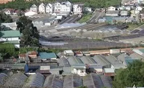 Cho thuê đất trông cây làm hoàn thiện đầu tư nhà kính