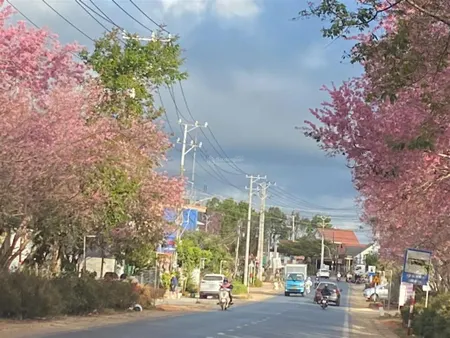 Bán đất xuân thọ thành phố đà lạt