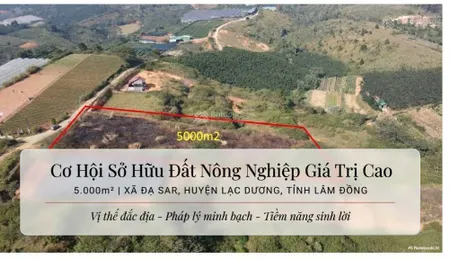 Cơ hội sở hữu lô đất nông nghiệp giá trị cao 5000m2 xã đạ sar, huyện lạc dương, tỉnh lâm đồng