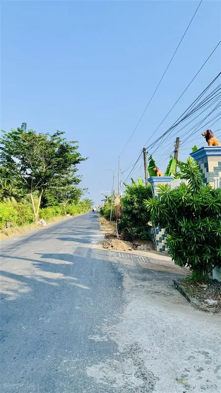 Bán đất thổ cư hơn 170m² xã long trì, châu thành, long an sổ hồng riêng