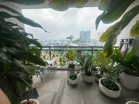Chính chủ cần bán căn hộ cc flemington, q11, dt 220m2, 4pn, 4wc, full nt, giá 12,8tỷ (giá thật)