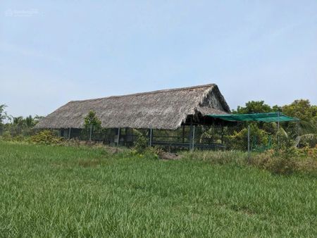 Xưởng chính chủ gủi cần cho thuê gấp xã Trung An huyện Củ Chi DT: 10 x 200m giá thuê: 10tr/1tháng