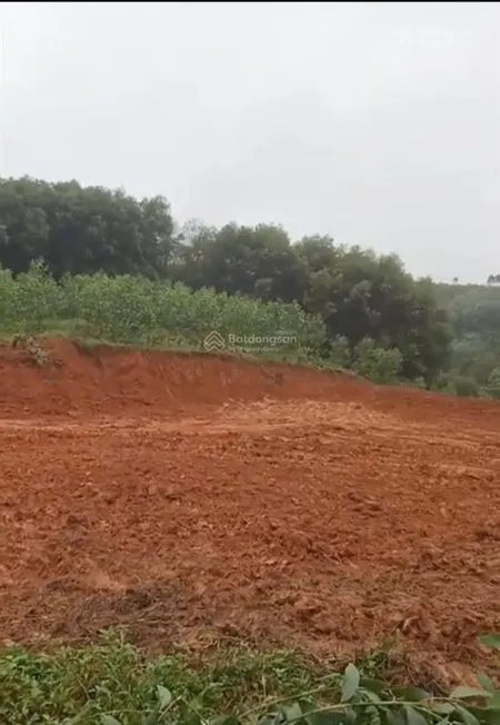 Em cần bán 5500m2 đất vườn có 100m2 thổ cư tại gia điền, hạ hoà, phú thọ. 950k/m2. 0976 108 ***