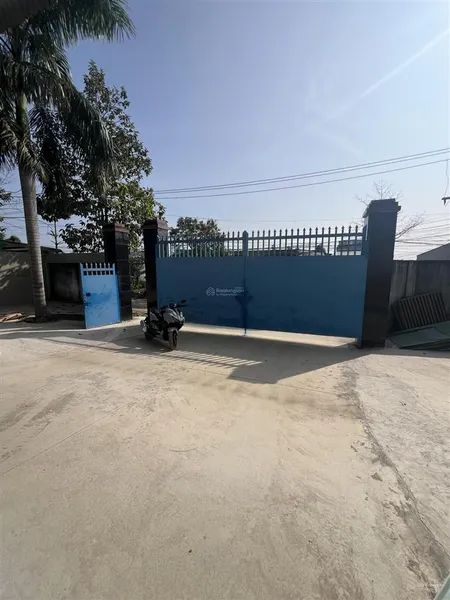 Cho thuê xưởng 1100m2. ấp rừng sến. mỹ hạnh bắc. đức hoà long an
