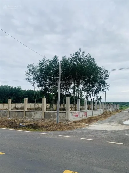 Cho thuê 2300m2 đất lô góc mặt tiền đường đt 756b có sẵn 1000m2 đất thổ cư (ont)