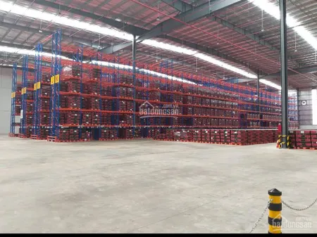 Ct hoa phượng cho thuê kho, xưởng kcn vsip 1, thuận an có kho tự quản và dv (100 đến 20.000m2)