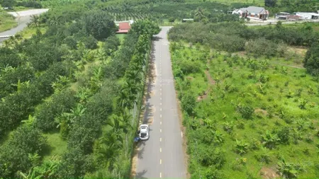 Bán 1,2 hecta vườn sầu riêng giáp sông, đường nhựa quy hoạch thổ cư xã khánh phú, khánh vĩnh giá rẻ