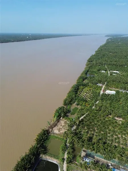 Đất ven sông mekong 379tr/1.000m2 | bán trọn 6.969m2
