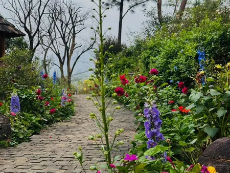 Duy nhất một căn villa ngay giữa xóm hà nội