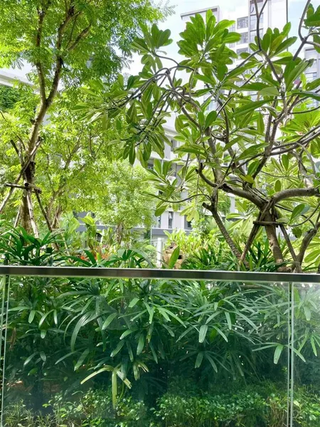 Cho thuê căn hộ 2pn 2wc khu diamond centery celadon city giá chỉ 16 tr. tháng
