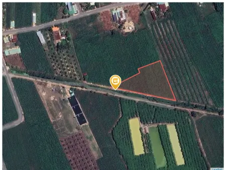 Bán đất 1000m² ngang 10m giá 135 triệu tại Xã Lộc Ninh