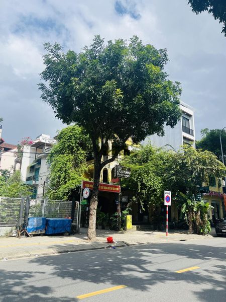 Cho thuê nhà 2 măt tiền đường quang trung, hải châu