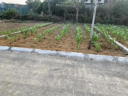 Bán đất phú cát, huyện quốc oai 100 m2 mặt tiền 6 m giá 2,4 tỷ