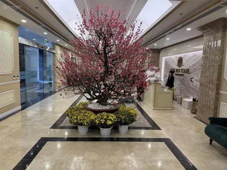 111m2. 3pn. tầng cao view trực diện nhà hát opera. d le roi soleil, 2 đặng thai mai