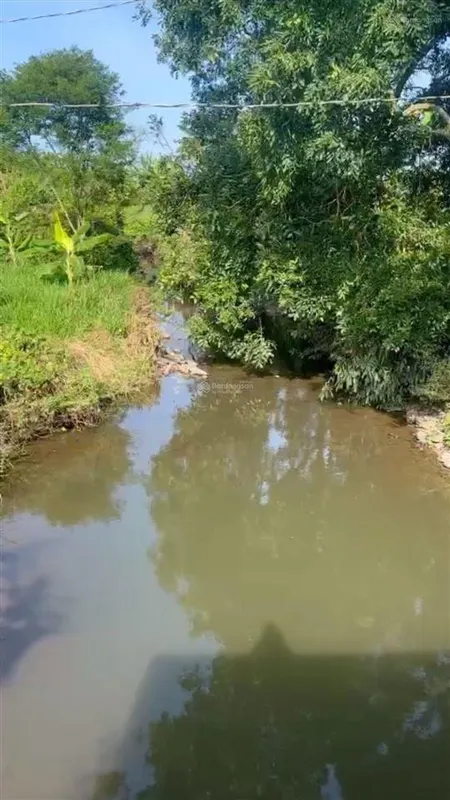 Đất 7000m2 phủ hồng đất ở mua thổ cư thoải mái, suối chảy trước đất