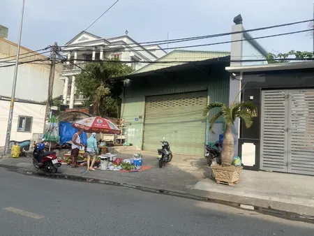 10x40 Nguyễn Văn Cự, Tân Tạo A, Bình Tân