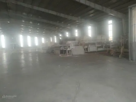 Cho thuê xưởng cưa sẻ gỗ 22.000m2 tại bắc tân uyên bình dương