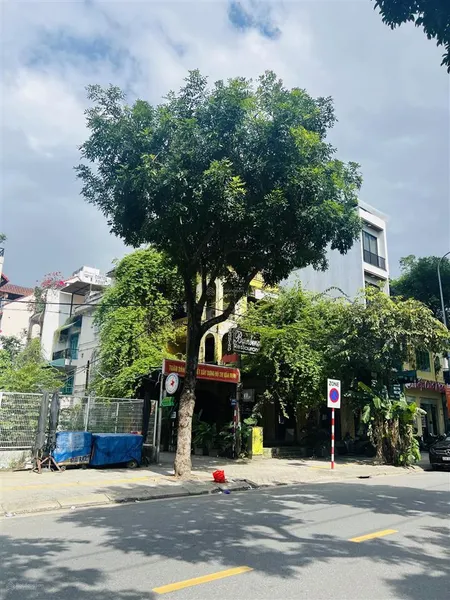 Cho thuê nhà 2 măt tiền đường quang trung, hải châu