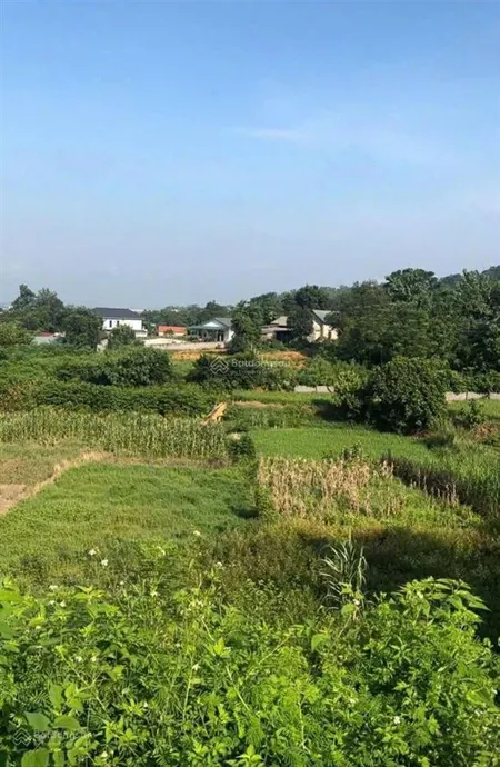 Hàng f050 sào đất giá siêu rẻ, thế đất cao, view thoáng, giao thông thuận tiện ô tô đỗ tận đất