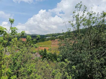Bán đất biệt thư 557m2 view rừng thông, mặt tiền đường măng lin, cạnh cafe mây lang thang đà lạt.