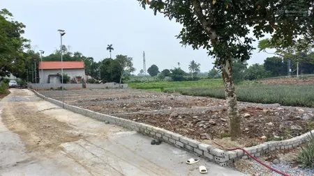 Chỉ với 100tr sở hữu ngay một lô đất bám trục liên thôn tại thọ xuân thanh hoá