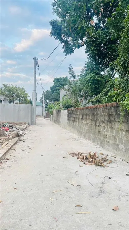 Bán đất tại xã tân ước, 2,7 tỷ, 47m2, mặt tiền 4,5m, ngõ 3m thông, ô tô, pháp lý đầy đủ, vin khu d