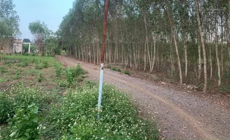 Bán đất 1300m2 tại bình an, long thành, đồng nai, giá 3 triệu / m2