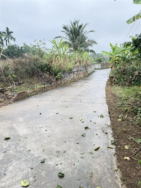 Bán đất đại lâm, lạng giang, bắc giang. 862m2 mt 47m. giá 3,4 tỷ