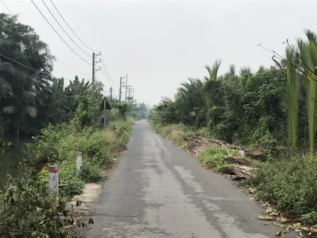 Bán nông nghiệp mặt tiền đường xương cá 2, 2 triệu / m2, 8000 m2, xã phong phú, huyện bình chánh