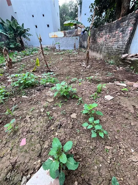 Đất nền tại thôn 3, vạn phúc, nam phù