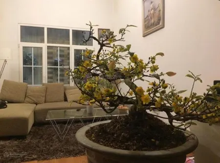 Bán nhà đẹp, xây hiện đại, vị trí đẹp