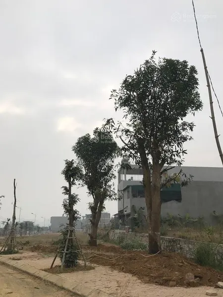 Bán biệt thự view đẹp tại kosy mountain view, đường a3, bình minh, lào cai, giá hơn 7tr/ m2, 337 m2