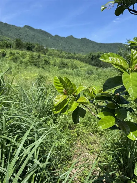 Đất nghỉ dưỡng trung tâm hoà lạc view đẳng cấp