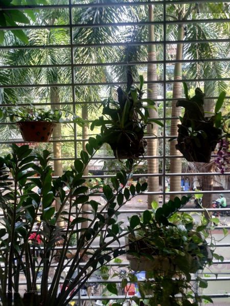 Cho thuê tập thể đẹp như chung cư khu 7.2 ha Vĩnh Phúc. DT 90m2, 2pn, full đồ, oto đỗ cửa. 11 triệu
