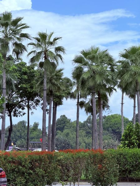 Cho thuê căn hộ 1PN, 2PN, căn góc, SkyVilla ở Swanbay