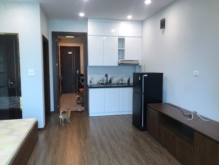 [KHU BIỆT THỰ MINH TÂM - SỐ 1 CỔ LINH] Căn hộ studio sang trọng khép kín, có thang máy, an ninh tốt