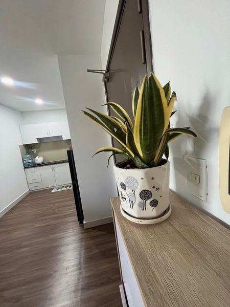 Cho thuê căn hộ full nội thất 62m2 2pn 2wc nhà mới tinh thoáng mát có suất đậu ô tô