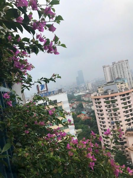 Nhà em cho thuê căn hộ 105m2, 3PN view hồ Tây full đẹp giá 19tr tòa Hòa Bình green LH 0983814882