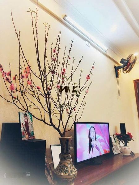 Cho thuê căn hộ chung cư A6 Nam Trung Yên, 60m2 2 ngủ đủ đồ 10 triệu